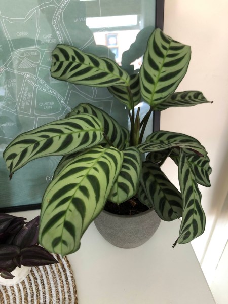 61858517884__daee9f45-2e97-4874-a5fd-f8d32644c1b2