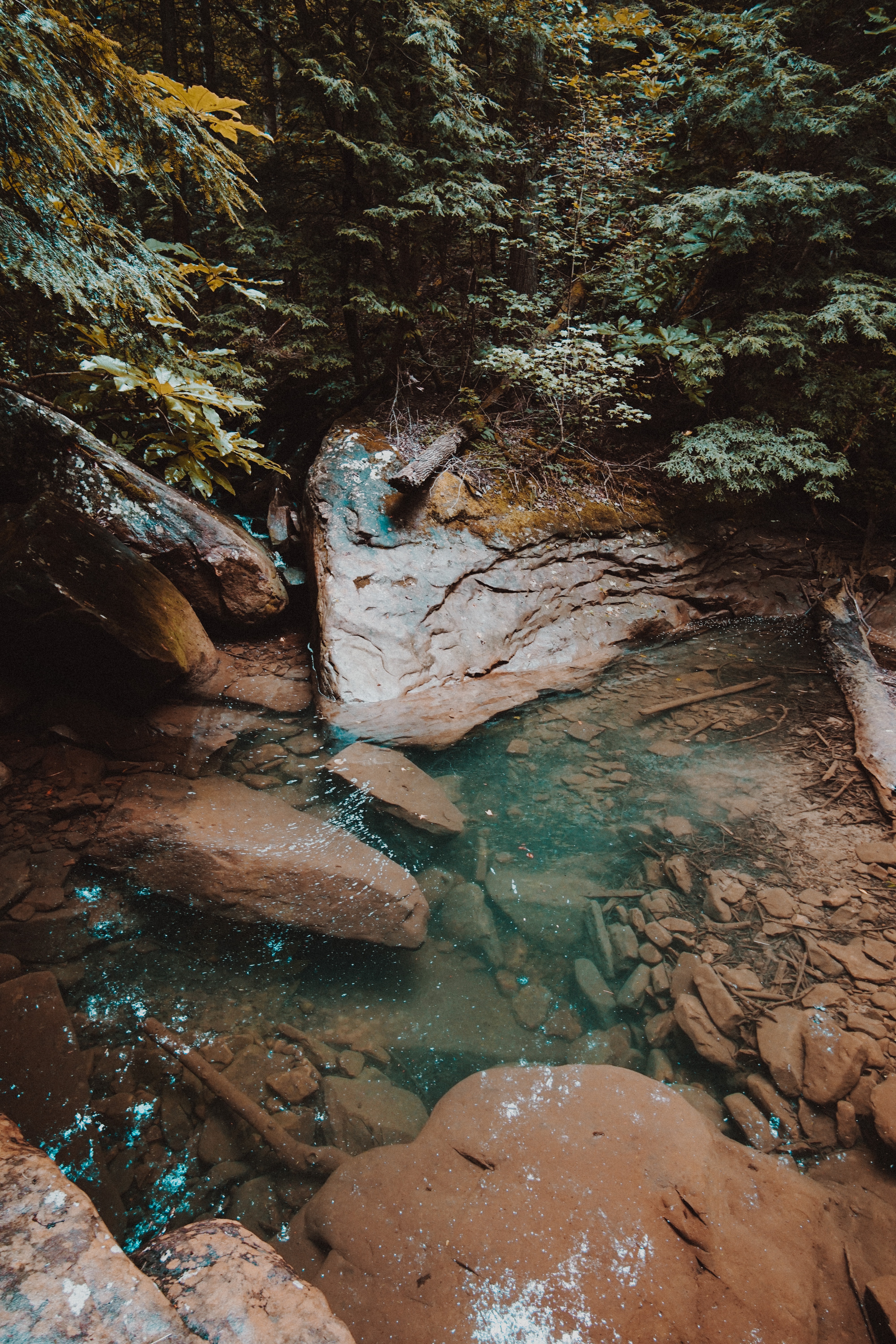 wander-creative-IiYGHLz_v18-unsplash